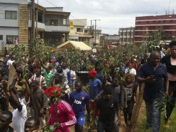 Addressing Population Growth and Displacement in Cameroon’s Northwest and Southwest Regions